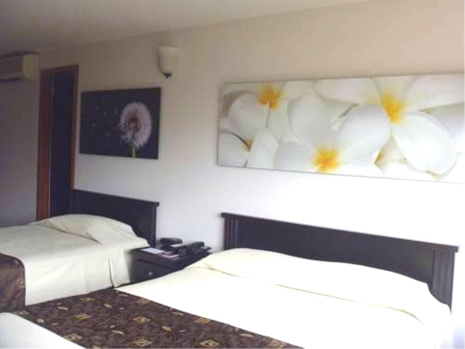 Hotel Plaza Rosa Medellín Exteriör bild